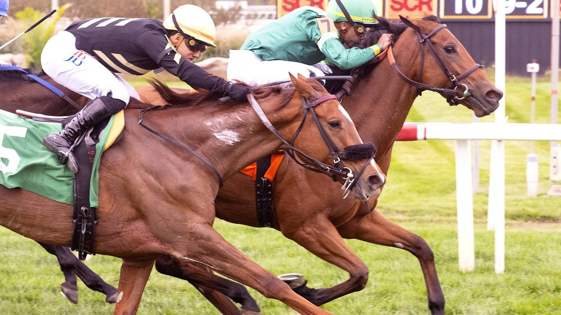 Racetrack Roundup: Daughter Of Champion Mare Surprises In Laurel Allowance 