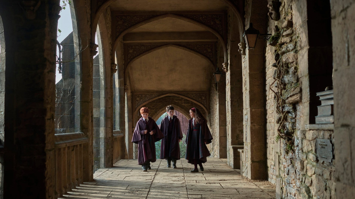 Nicholas Hoult exits 'Harry Potter' HBO series – See his replacement