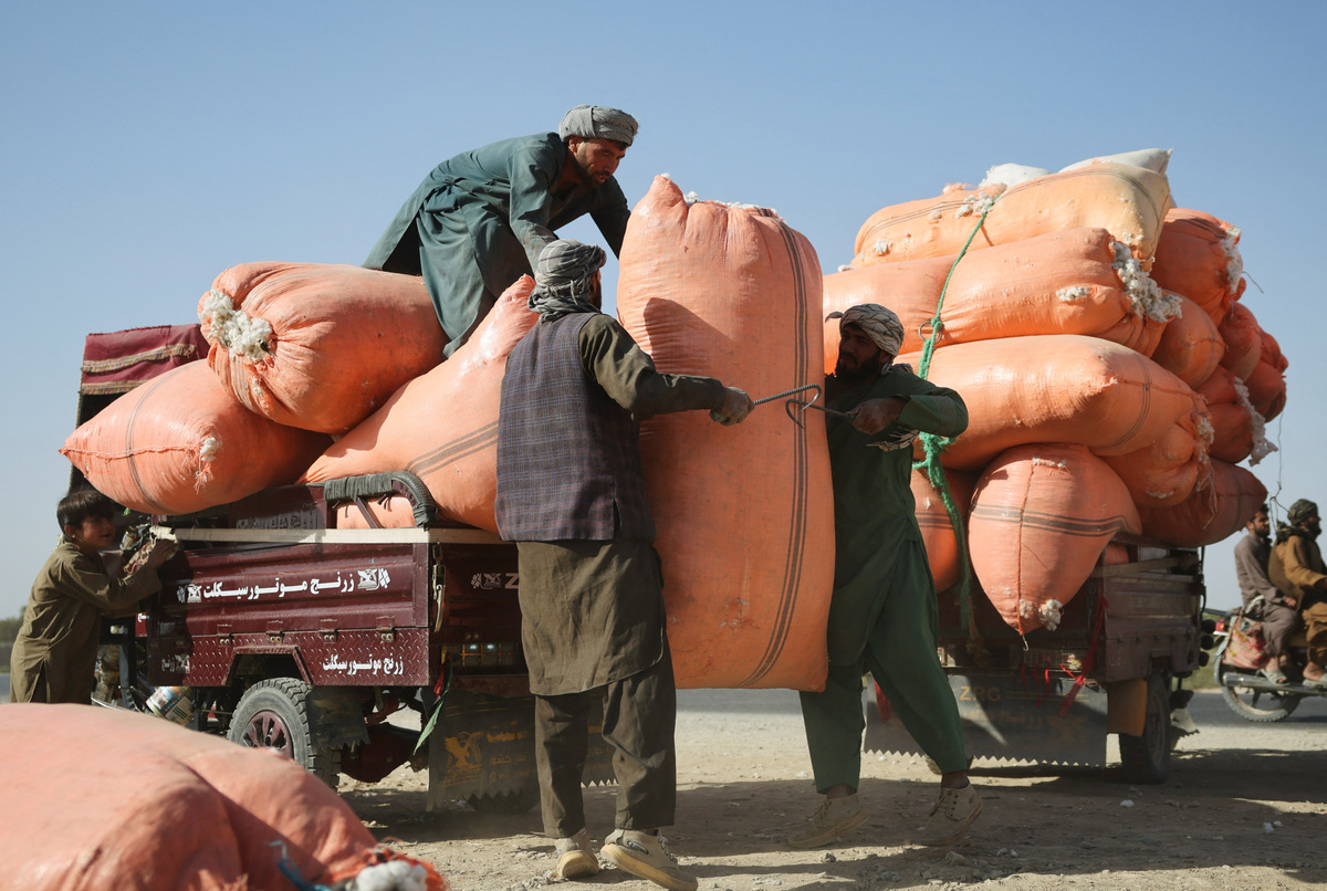 Taliban's poppy ban falters as Afghan farmers say they can't feed their ...