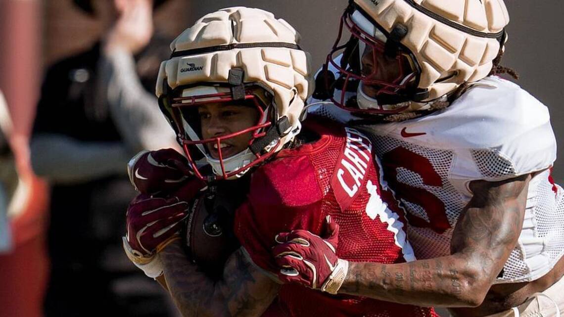 FSU Football Freshman WR Expected to Make Debut Against Clemson