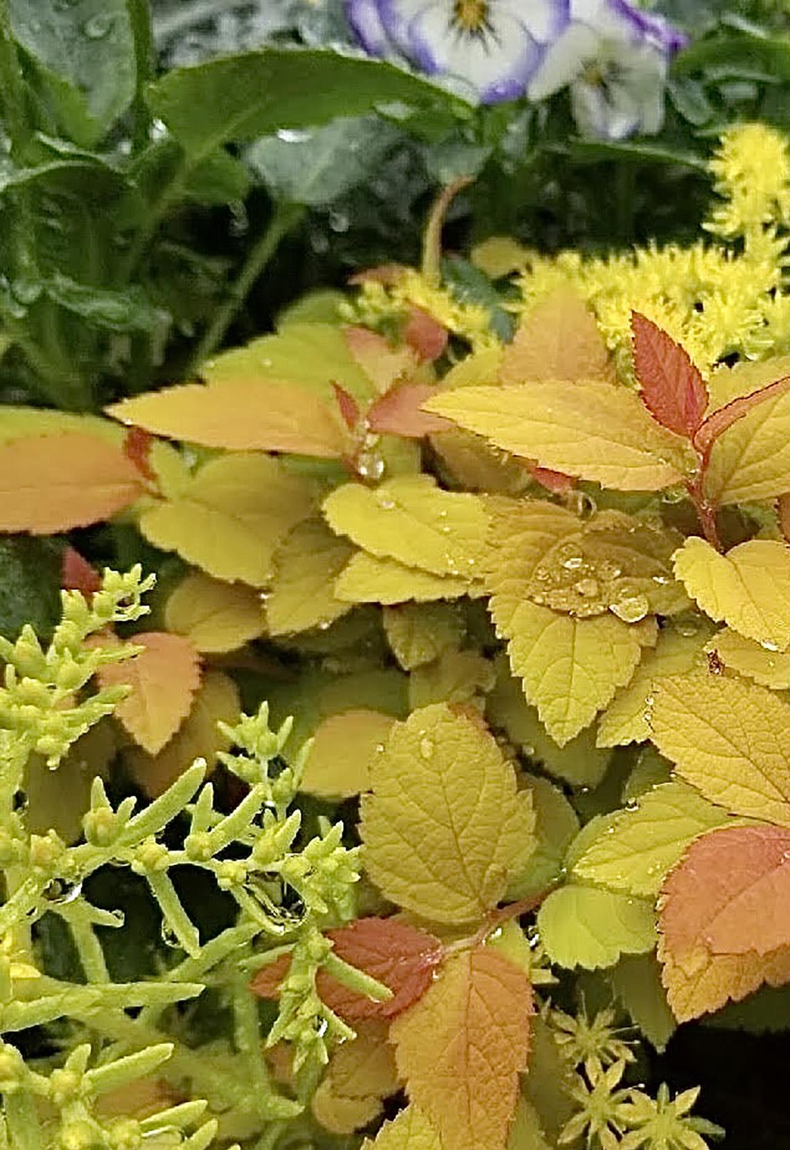 Norman Winter/Norman Winter/TNS