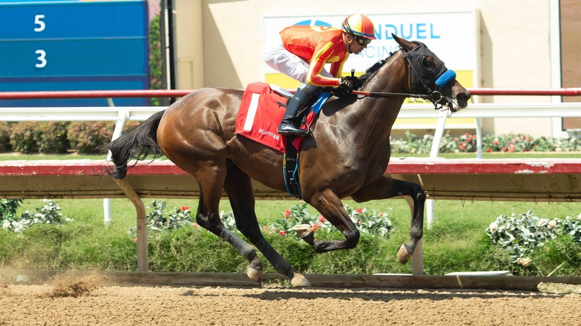 Baffert-Trained Debut Winner Miss Monica Headlines Del Mar Debutante 