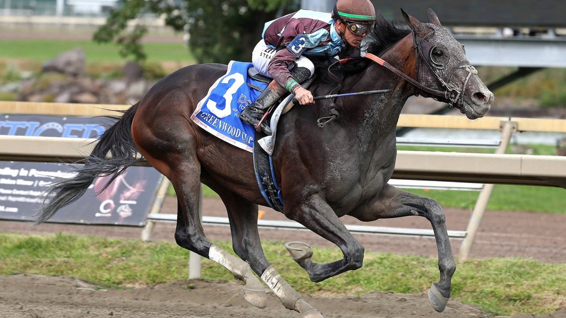 San Siro Goes Distance In Greenwood Cup 