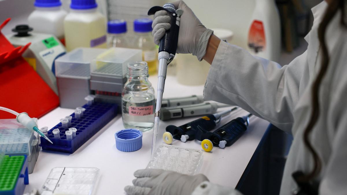 FILE PHOTO: A researcher uses a pipette to transfer a sample into a microtube during a press visit, as researchers work to monitor and prevent the spread of avian influenza, including the H7N9 bird flu virus, at the Institut Pasteur in Paris, France, November 24, 2025. REUTERS/Gonzalo Fuentes/File Photo