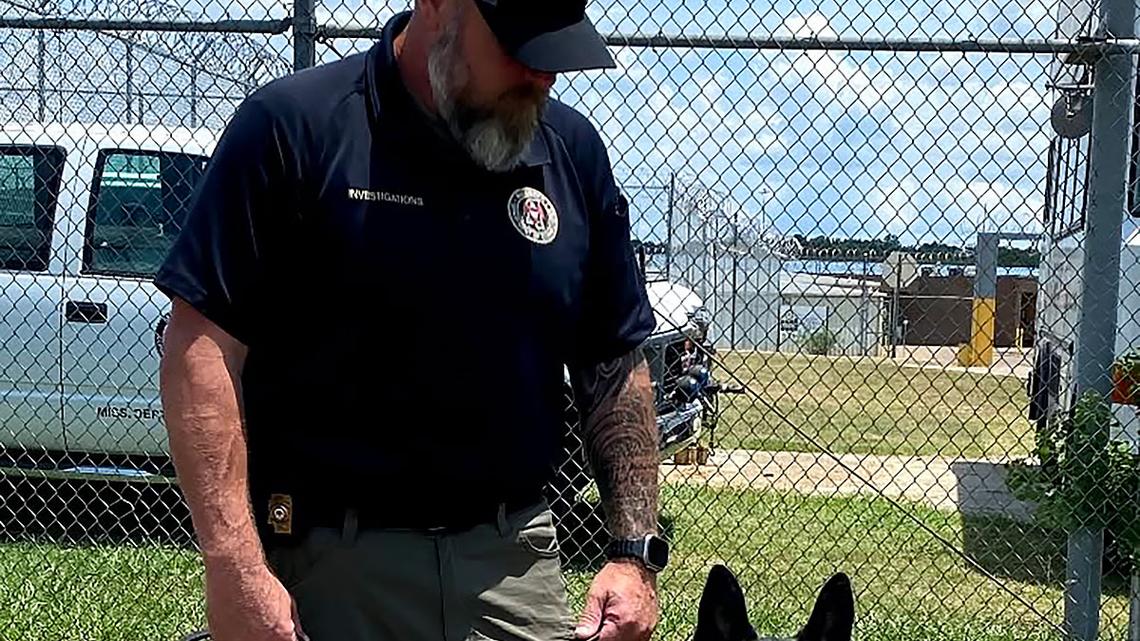 Mississippi Police Searching for Shooter Who Killed Patrolling K-9 Officer 