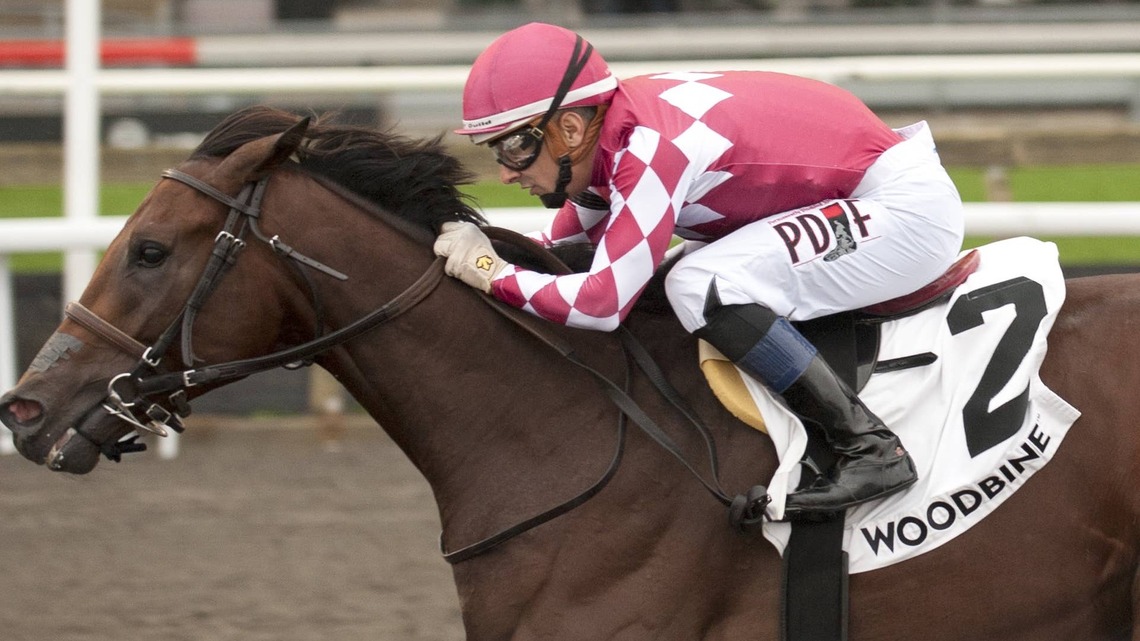 Odenkirk Dominates In Gate-To-Wire Display Romp