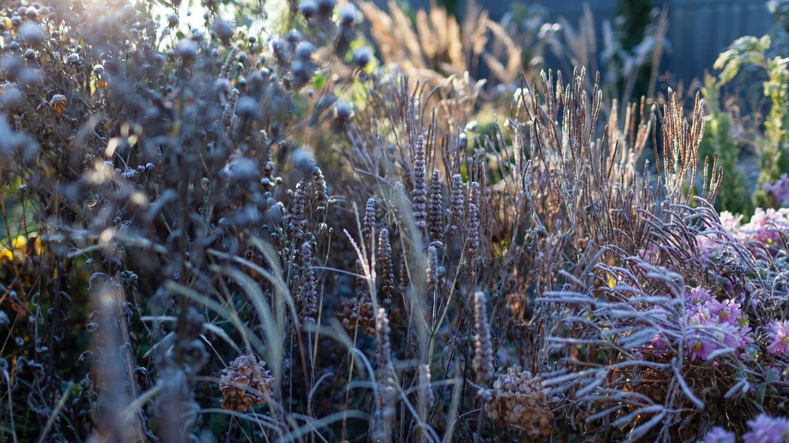 How to Winterize Your Garden in One Weekend: A Step-by-Step Checklist 