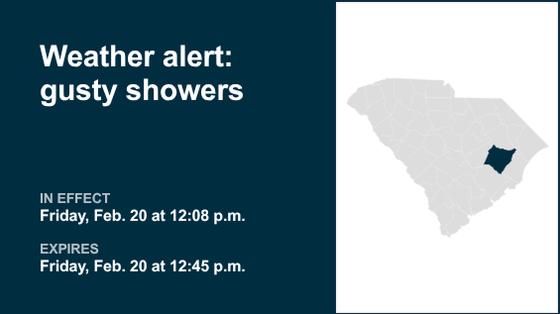 UPDATE: Prepare for gusty showers in Inland Georgetown and Williamsburg County Friday afternoon 