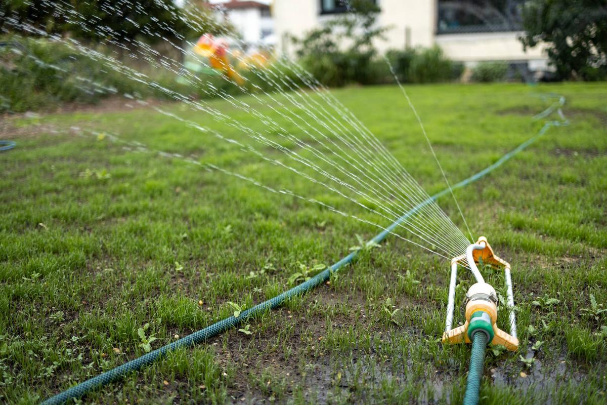  Close-up view of a lawn sprinkler in action, watering a newly seeded or patchy lawn. A tranquil backyard scene featuring a simple garden sprinkler watering a lawn. The focus is on the refreshing spray and the vibrant green grass, with a partially visible house and playful hints of children's toys in the softly blurred background. The image evokes a sense of summer peace and home gardening. 