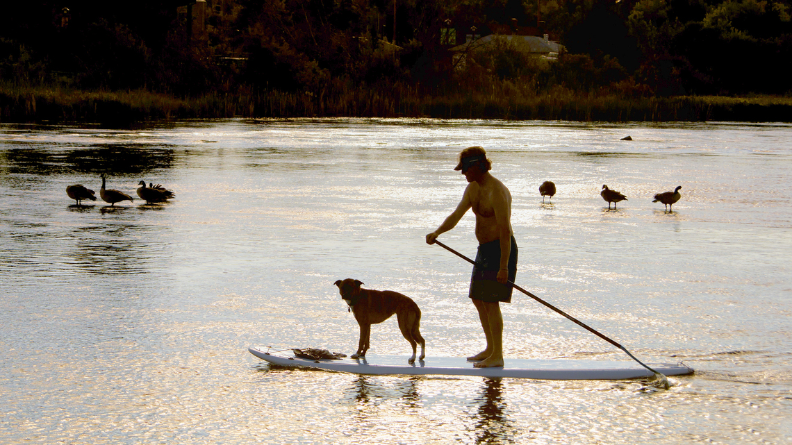 US cities where wellness is thriving right now 