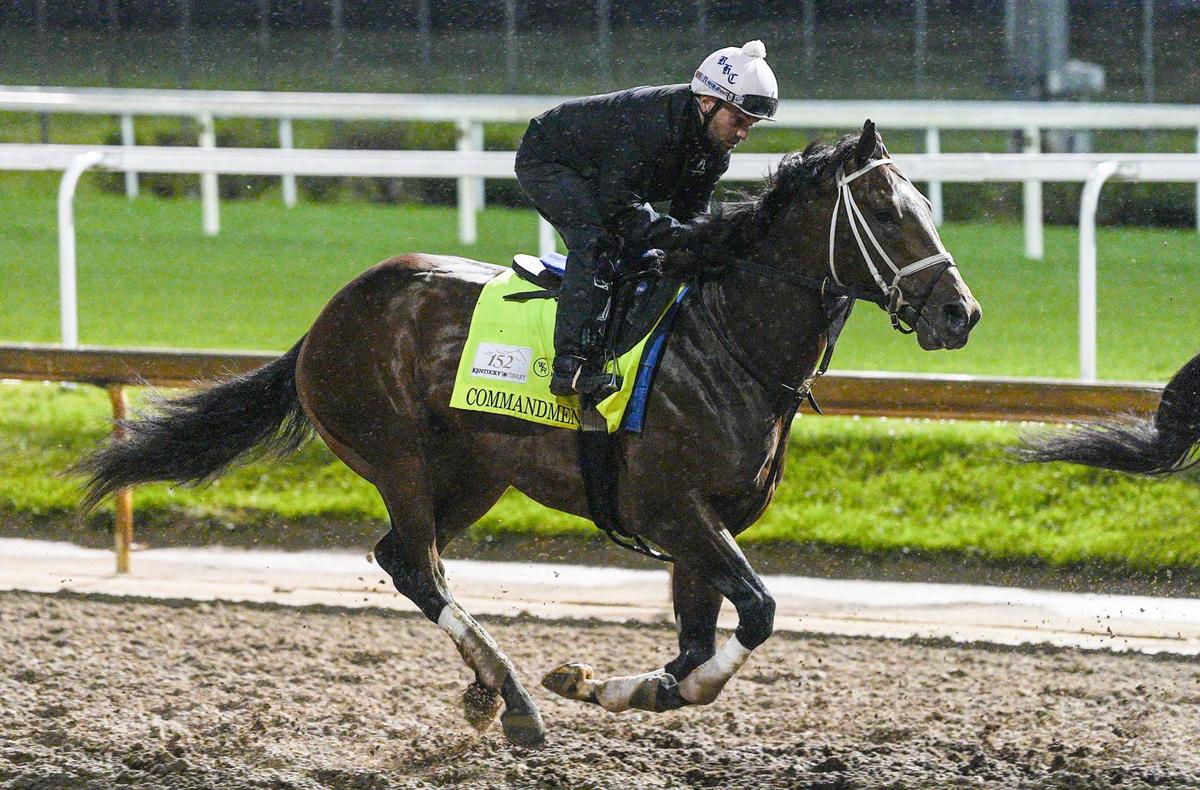 2026 Kentucky Derby horse Commandment with exercise rider Edvin Vargas trains early on the track during Kentucky Derby week at Churchill Downs. © Matt Stone/Courier Journal / USA TODAY NETWORK via Imagn Images