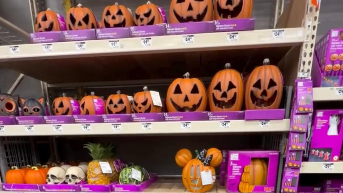 Can you spot the dog? This Halloween trend has pups 'hiding' in stores 