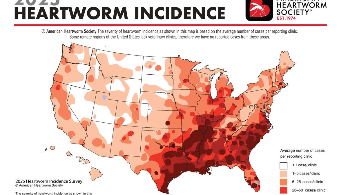 A map of the United States showcasing the areas with the most reported cases of heartworm disease in dogs. 