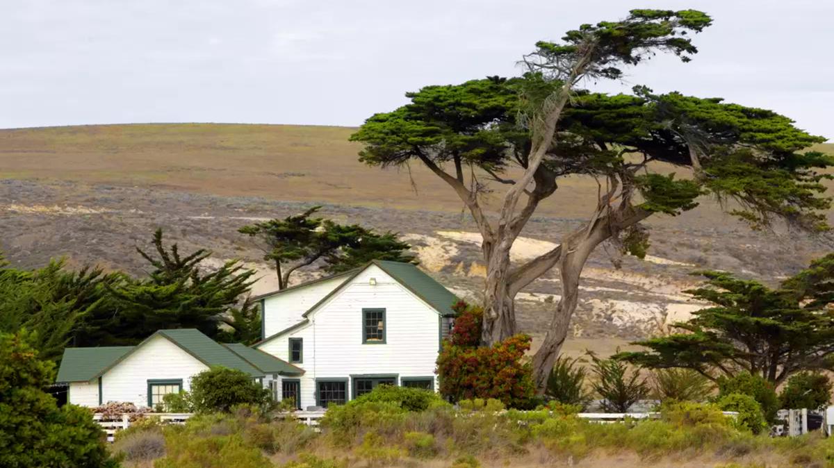 The Vail & Vickers Ranch on Santa Rosa Island. The island is also home to a critically endangered subspecies of Torrey pine. (Stephen Osman/Los Angeles Times/TNS)