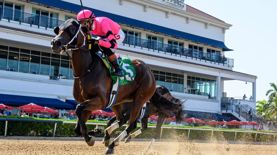 Saffie Joseph Jr. Has Three Chances To Win Fourth Consecutive Princess Rooney 