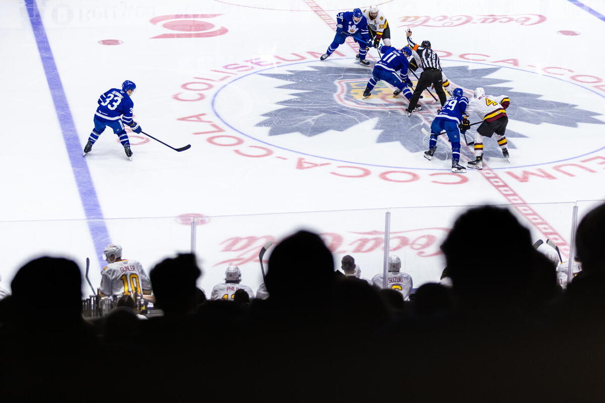  Calder Cup Final Preview: What You Need To Know 