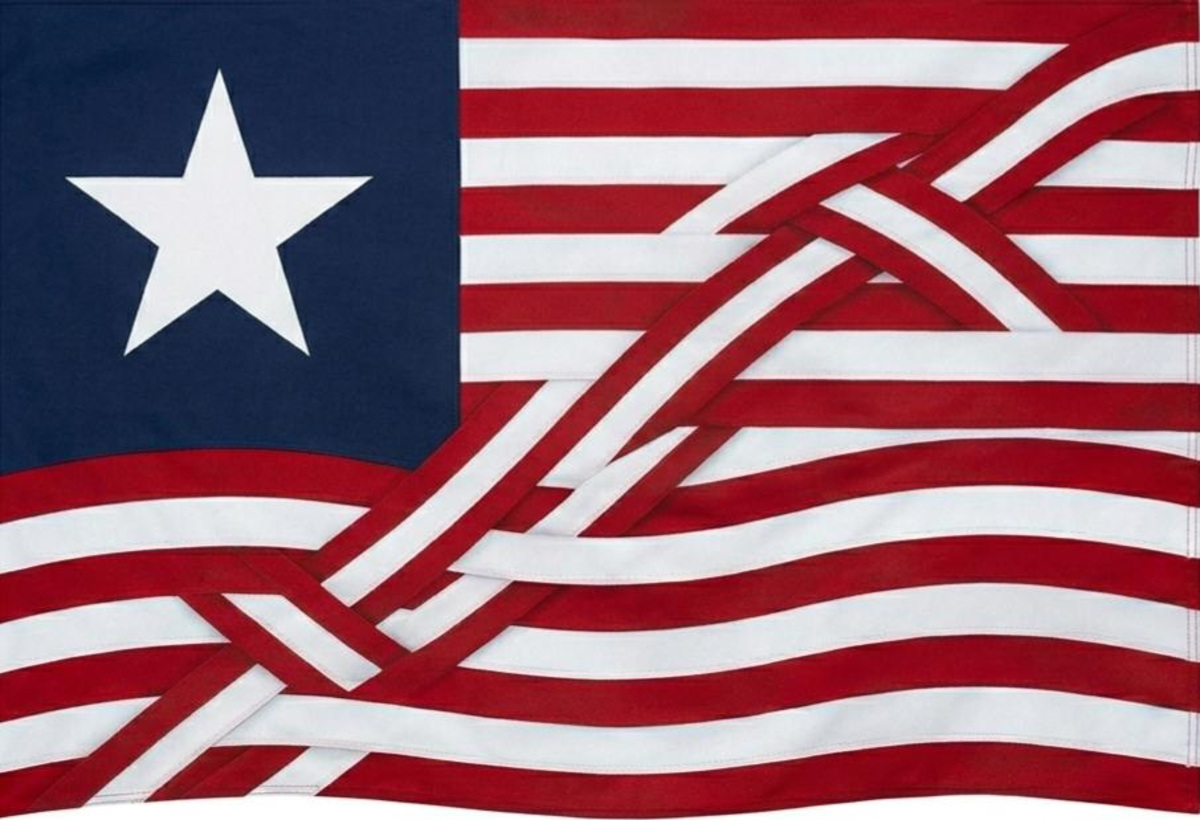 Henry W., an 11th grader from Troy, Michigan, redesigned the American flag to symbolize unity, shared responsibility and the ongoing pursuit of the American Dream. The design retains the traditional red, white and blue, replaces the 50 stars with a single star to represent the nation as one, and uses interwoven stripes to reflect both the country's diversity and the struggles people have faced.