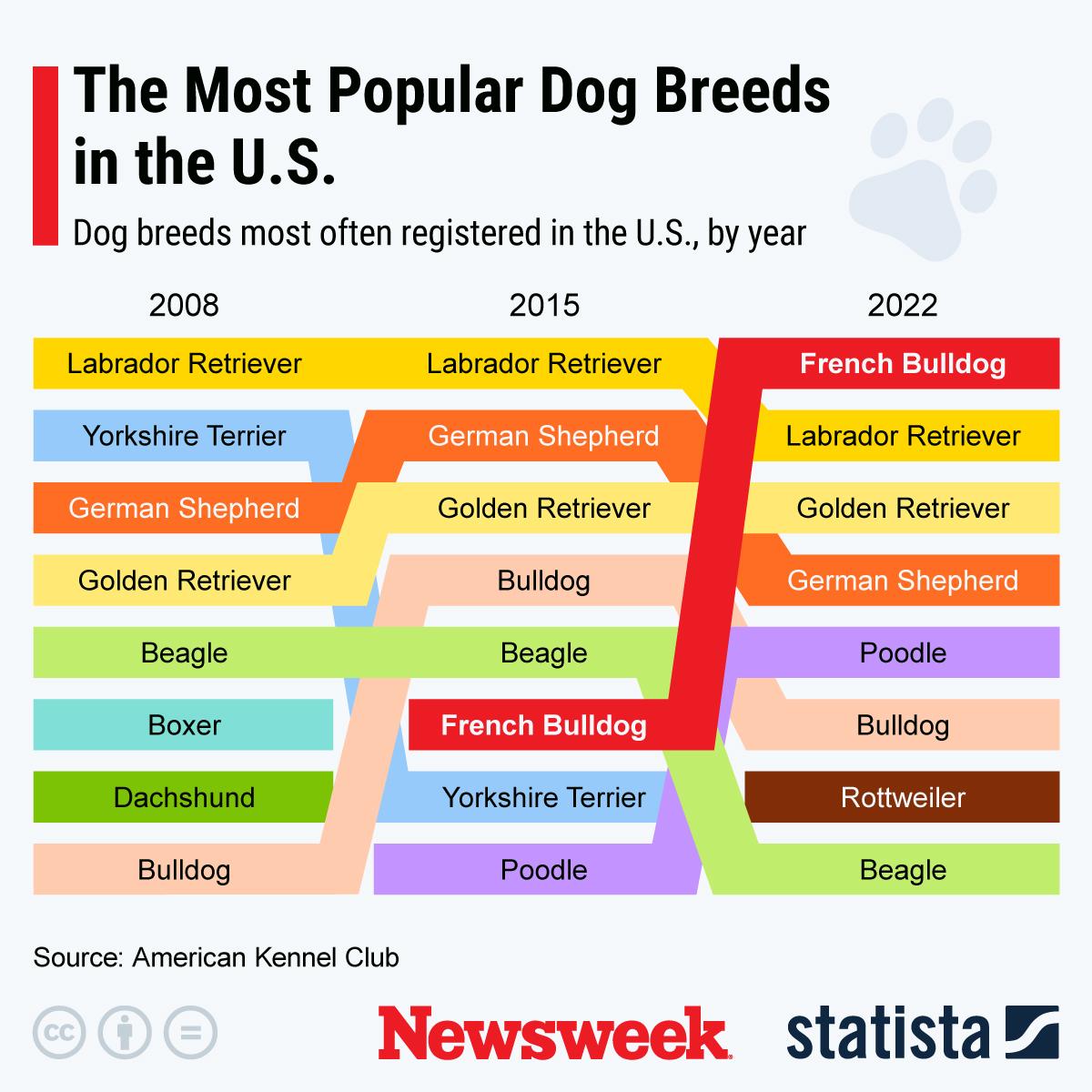  The graphic above, provided by Doggett also emphasized that early-life experiences and overall health can affect a dog's anxiety levels and suitability as a therapy or emotional support companion.He said dogs spayed or neutered before 8 months often become more anxious without supplemental nutrition. Those spayed or neutered before 4 months are frequently anxious for life, with little that can be done to reverse it.Nutrition also plays a role.“Dogs that eat a balanced, lightly cooked or raw diet tend to be calmer and generally healthier,” Doggett said, adding that healthier dogs may be more responsive to their owner's emotional needs.While dogs can provide comfort and emotional stability, they are not a replacement for professional mental health treatment. Instead, many owners find that the companionship, routine and physical affection dogs provide can complement other anxiety-management strategies.