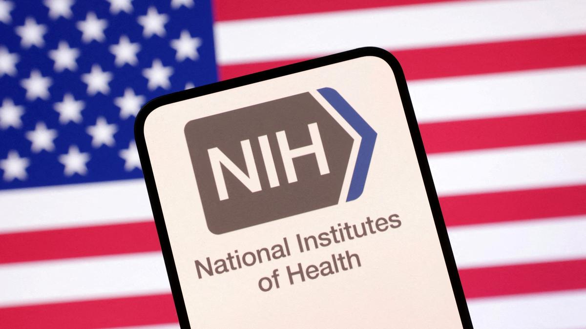 FILE PHOTO: United States National Institutes of Health logo and U.S. flag are seen in this illustration taken April 23, 2025. REUTERS/Dado Ruvic/Illustration/File Photo