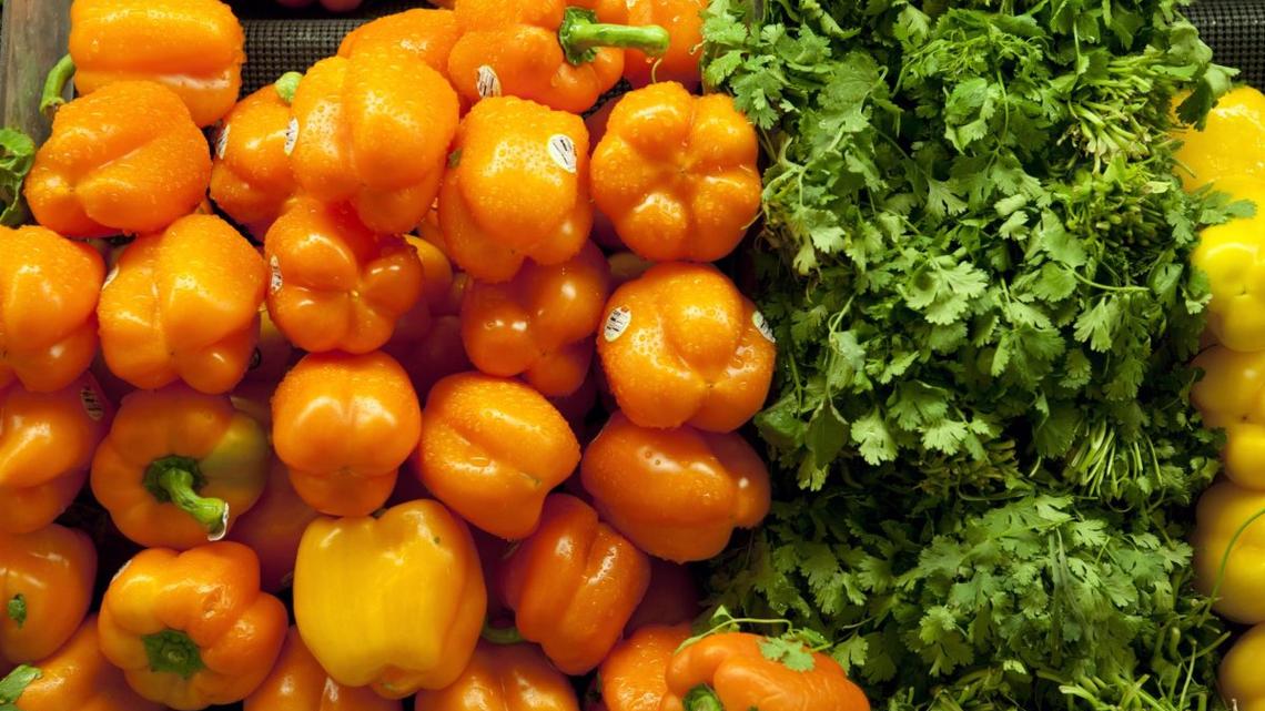 Consumer sentiment at record low because of Iran war