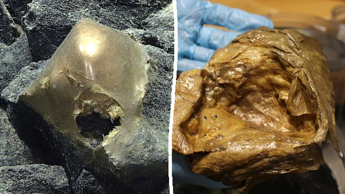 The mysterious golden orb underwater (left) and after it was retried and inspected. (NOAA Ocean Exploration via SWNS). 