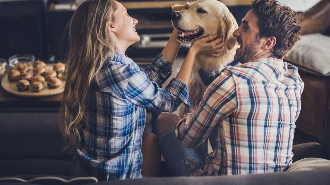 8 Words Dogs Love Hearing, According to Trainers 