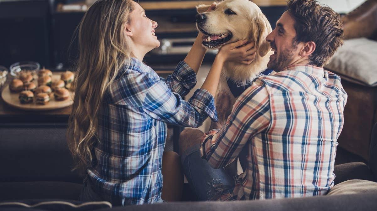A dog who is excited hearing a word it loves. 