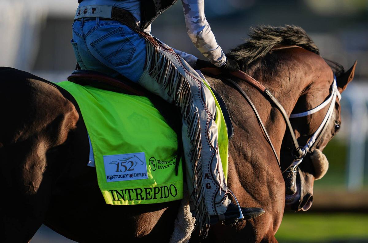  2026 Kentucky Derby horse Intrepido with exercise rider Alex Galindo. © Matt Stone/Courier Journal / USA TODAY NETWORK via Imagn Images