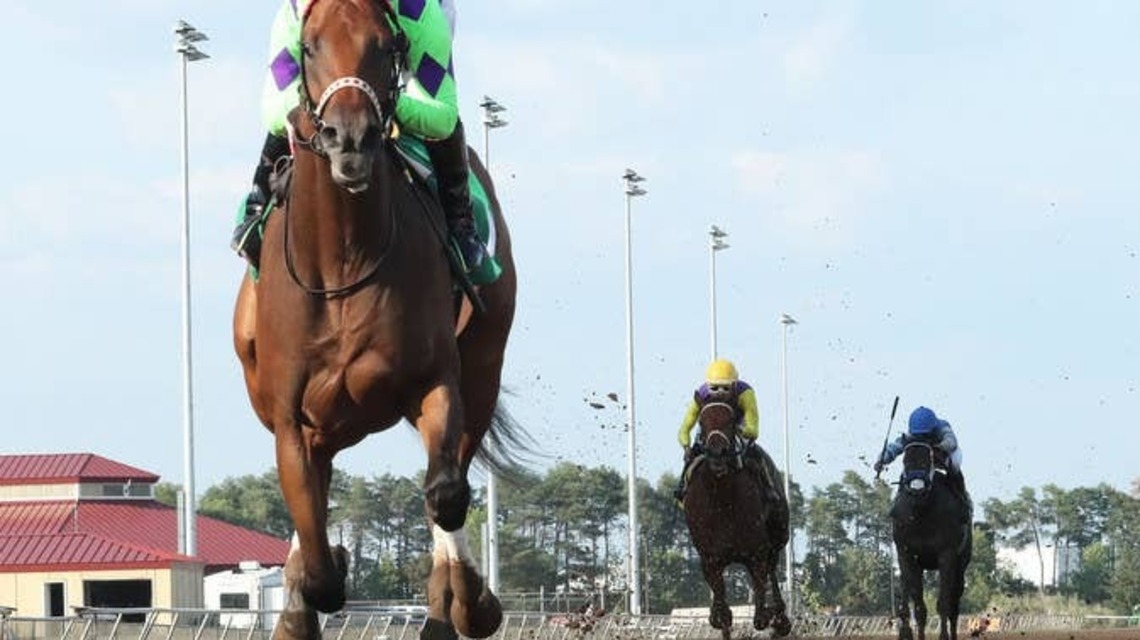 Minnesota-Breds In The Spotlight For 33rd Minnesota Festival Of Champions 