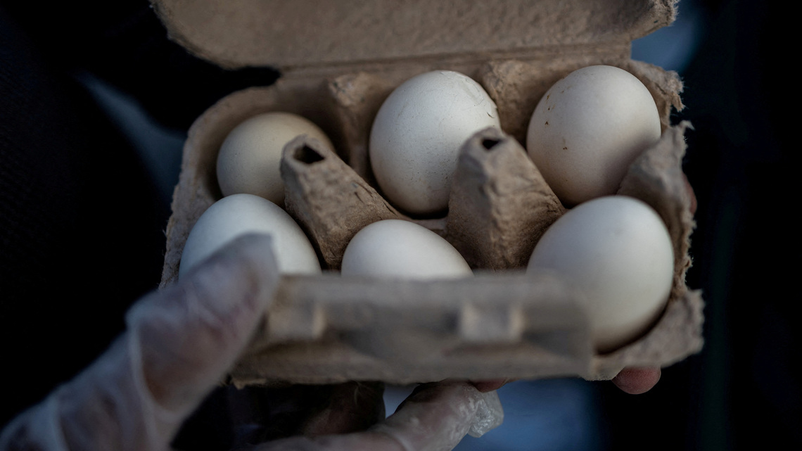 Poultry firm recalls nearly 1.6 million dozen eggs over potential salmonella, US FDA says 