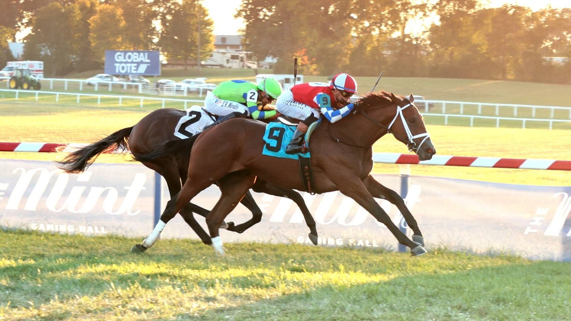 Just Joe Cuts Back In Trip In Futurity 