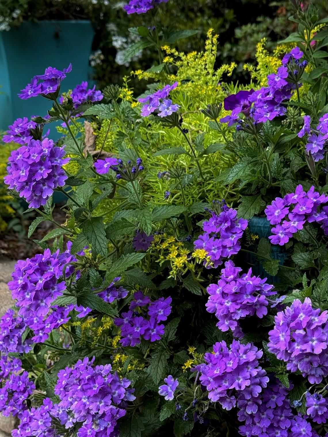 Norman Winter/Norman Winter/TNS