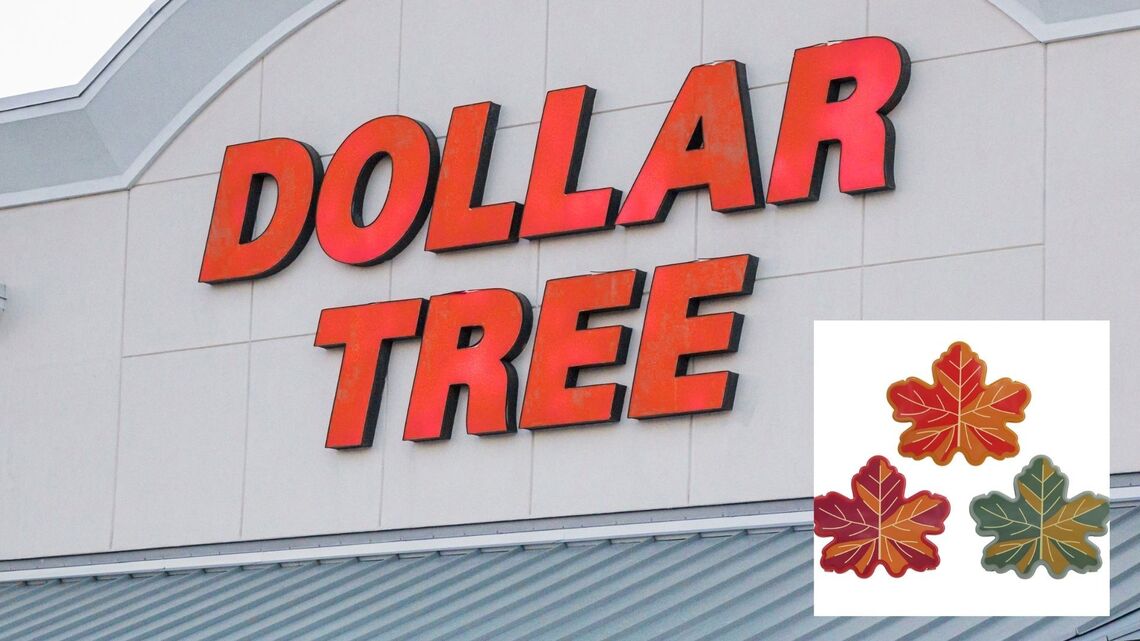 Grab Dollar Tree’s Adorable $1.50 Fall Leaf Snackle Box in Every Color