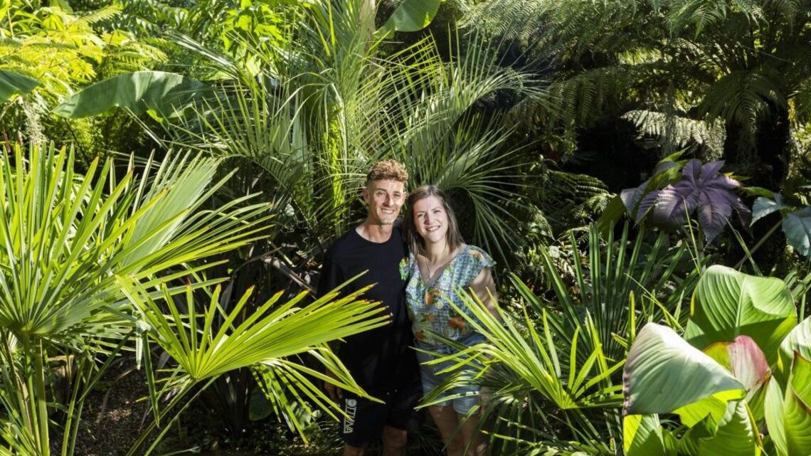 Couple turns ‘bland' backyard into jungle paradise after 10 years