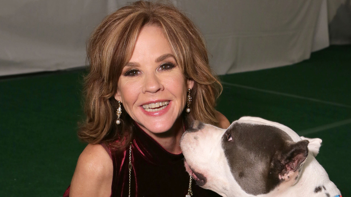 251 dogs found at unlicensed LA County kennel run by 'Exorcist' actor Linda Blair 