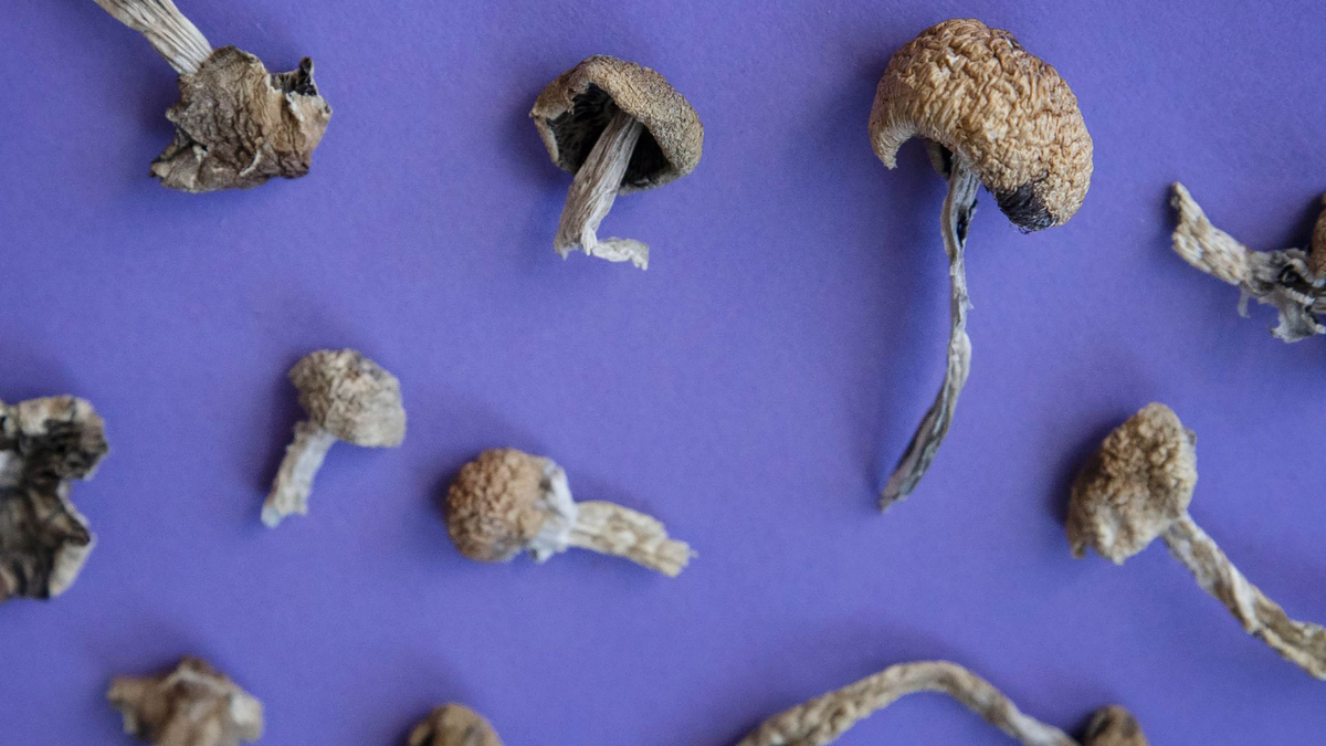 Magic mushrooms are known for their psychedelic effects, but new research into their impact beyond the brain suggests they may have numerous other benefits. (Olivia Sun/Zuma Press/dpa/TNS)
