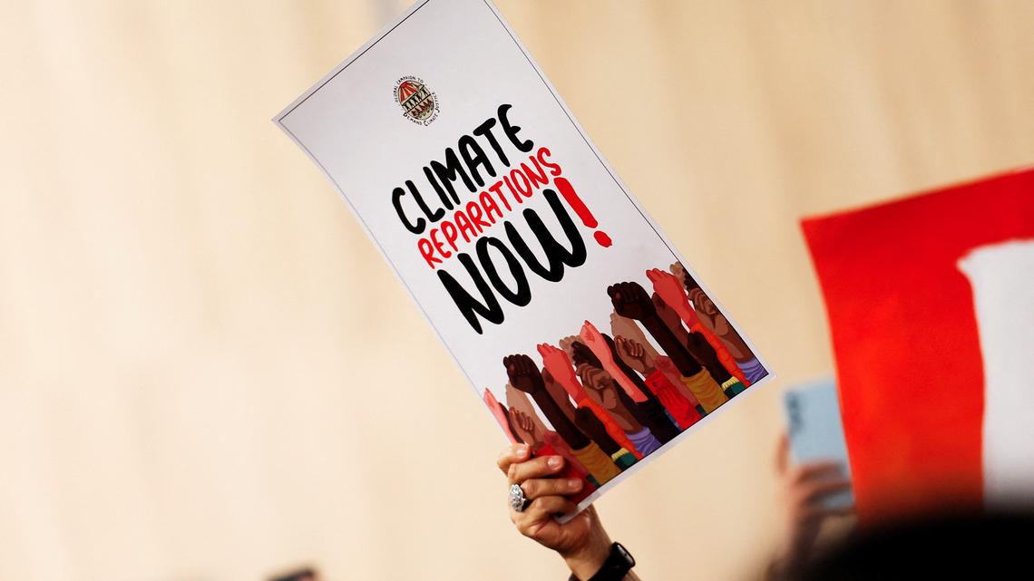 Wealthy countries' climate finance hit record high in 2024, OECD says 