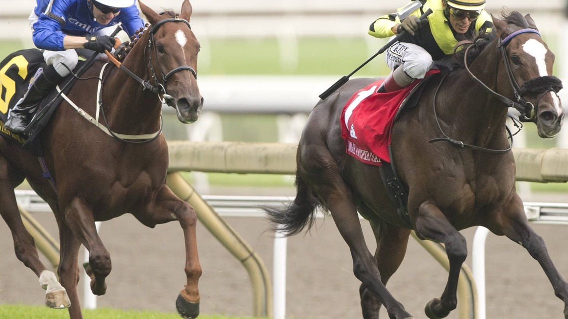 Gimme A Nother Notches Breakout North American Grade 1 Win In E. P. Taylor 
