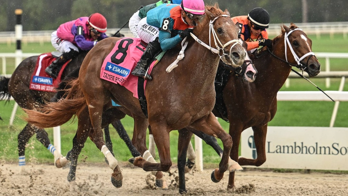 ‘He Looked Very Good': The Puma Tunes Up For Travers With Sharp Saratoga Breeze 