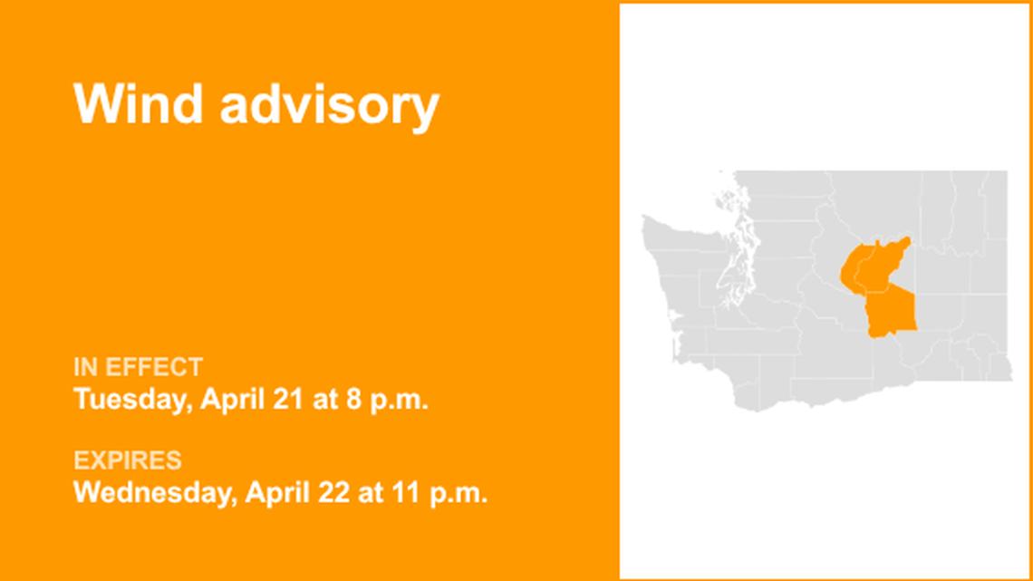 unitedrobots photography