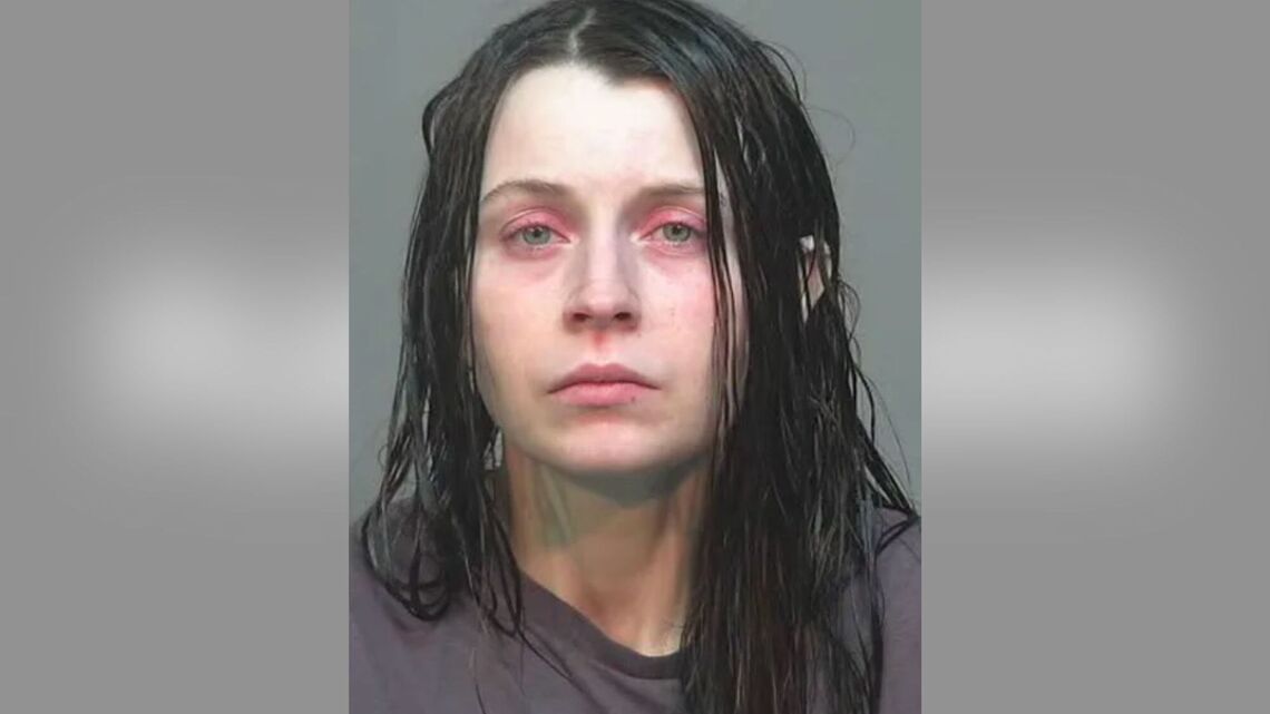 Prosecutors Seeking ‘New Serious Felony Charges' Against Elizabeth Siders 