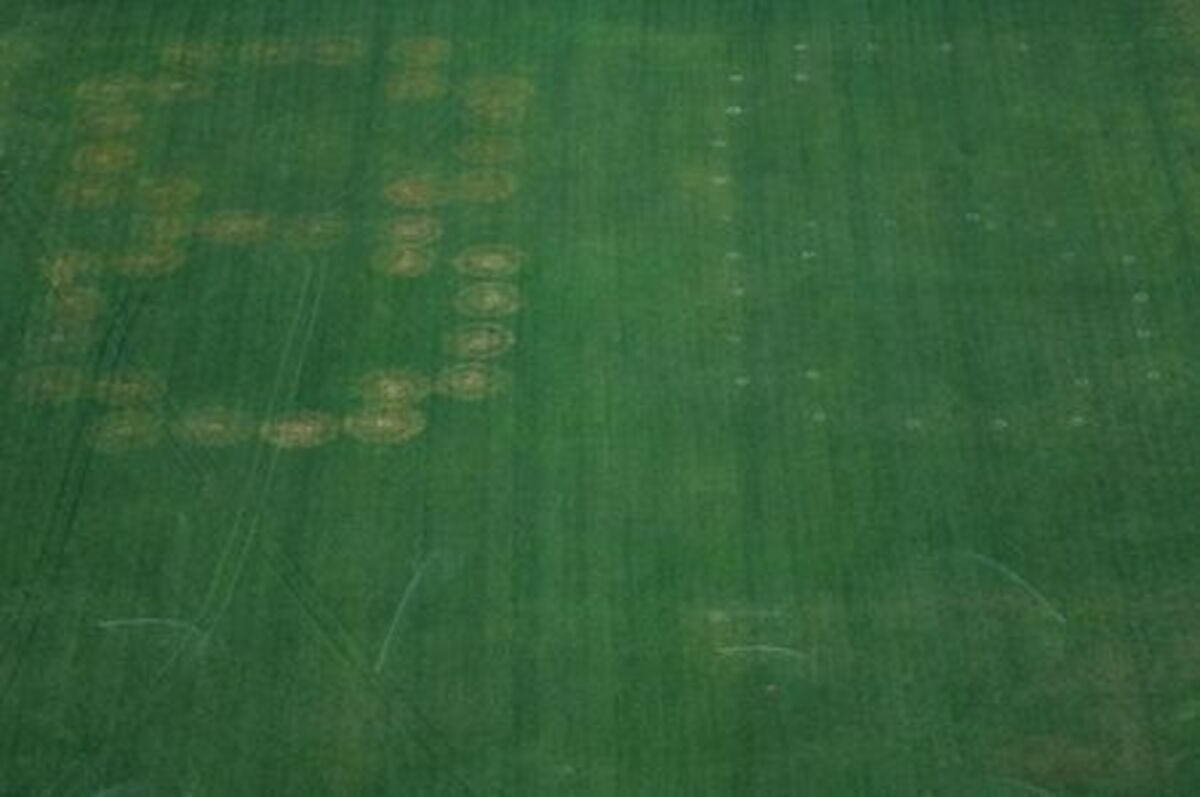 Authorities responded to what appeared to be a large tracing of the term 8647 into the grounds of the National Mall in Washington, D.C., June 11, 2026. A Reuters photographer captured the emerging image from atop the Washington Monument on the Mall's grass shortly before authorities arrived. The arrangement of the numbers was clearly an attempt to show 8647, though the 4 was not fully formed. Federal prosecutors on other occasions have said the term could indicate a threat to President Trump, the 47th U.S. president. REUTERS/ Nathan Howard