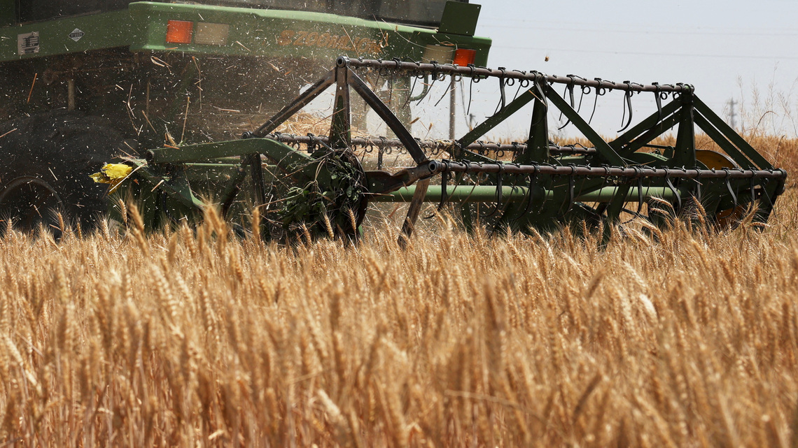 Ample world inventories may soften El Nino food supply shock 