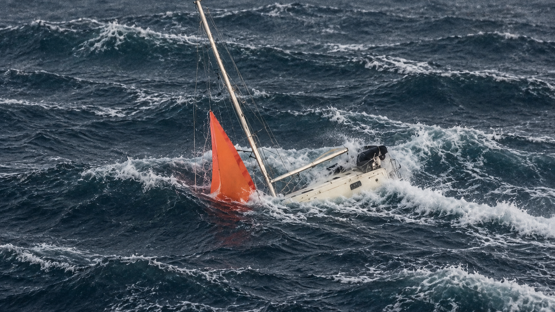 Watch: Sperm Whale Slams 52-Foot Yacht in Terrifying South Pacific Attack (Video) 