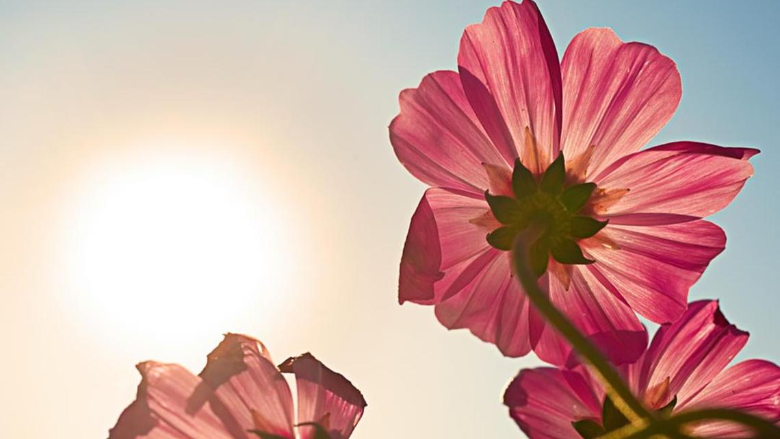 Hottest Aprils in Ohio since 1895 