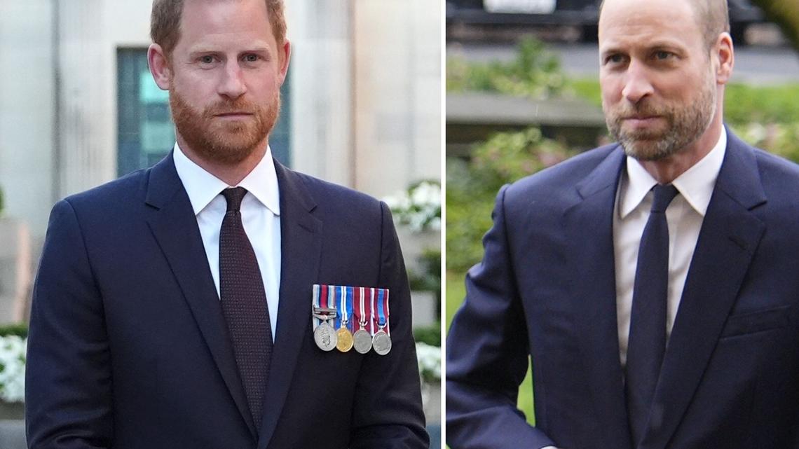 Prince Harry's Australia Trip Marks New 'Setback' In Prince William Rift 