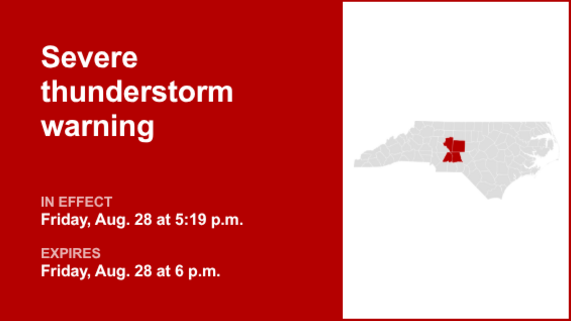 UPDATE: The severe thunderstorm warning is likely to expire at 8:30 p.m. 