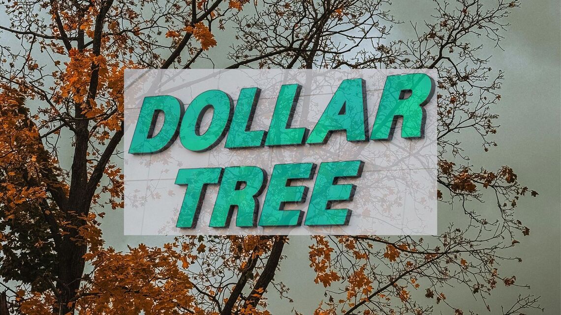 Transform Your Home With Dollar Tree’s $5 Moody Fall Decor Finds