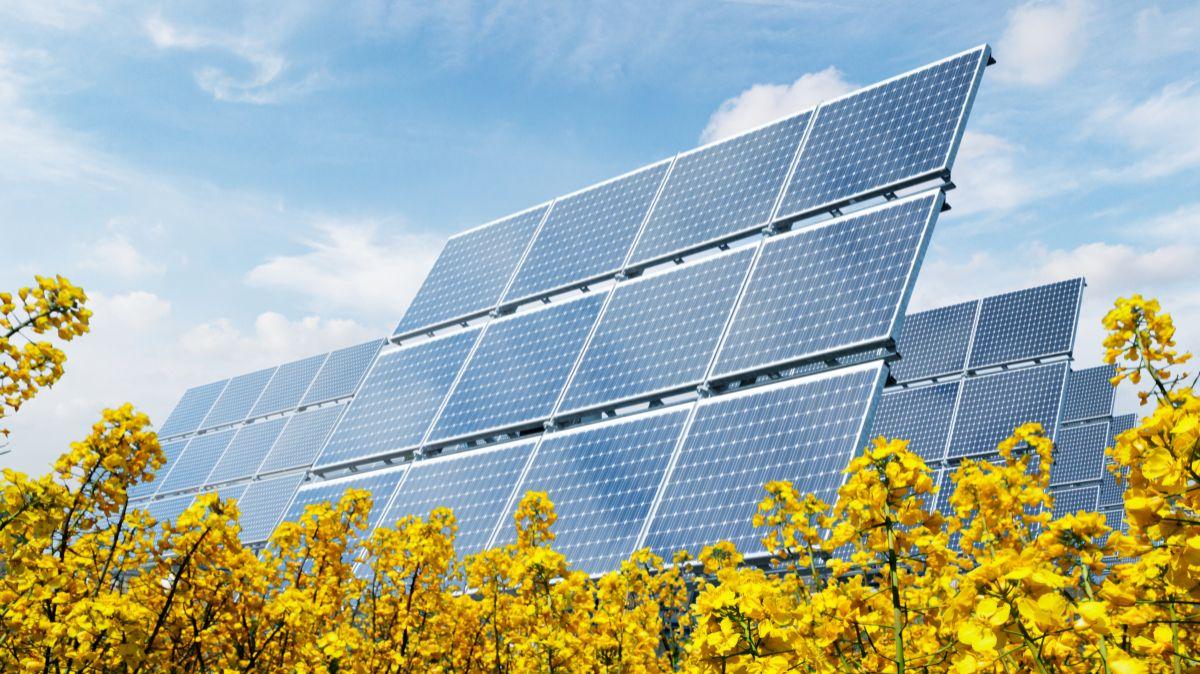 The Solar Power Purchase Agreement in Centre County has faced new hurdles since the One Big Beautiful Bill was passed.