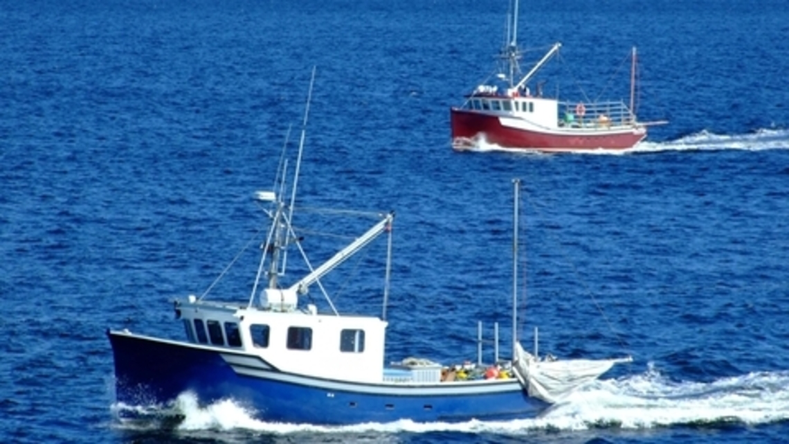 Earth Talk: Overfishing 